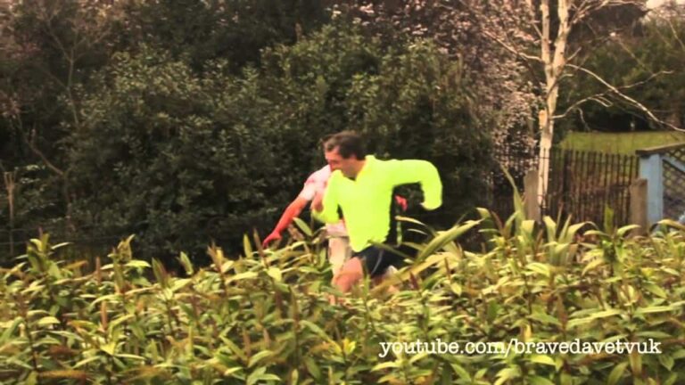Ferrari contra Bicicleta y el ganador es …