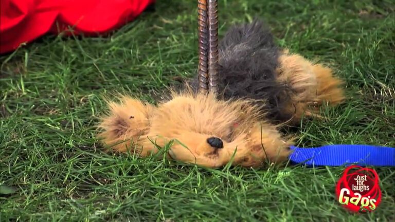 Gran broma de una estatua de hierro que atraviesa al cachorro