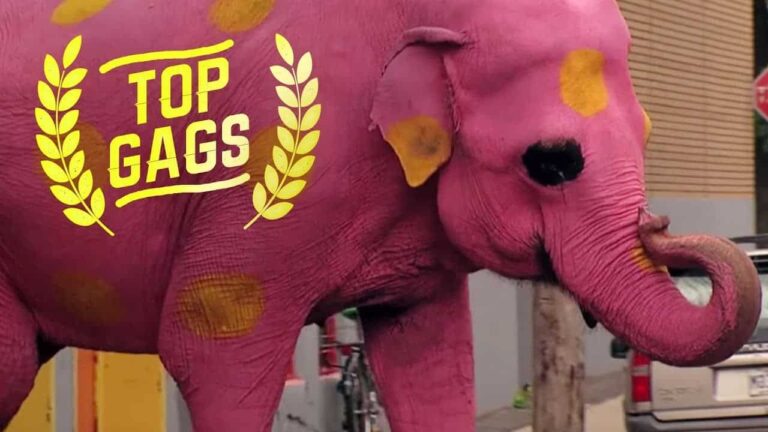 Broma cabeza del maniqui humana