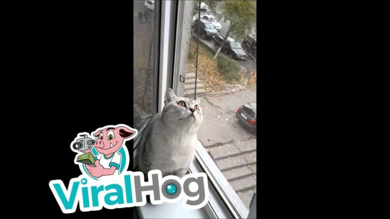 Ya no te quiero Ya Superalo enchufetv