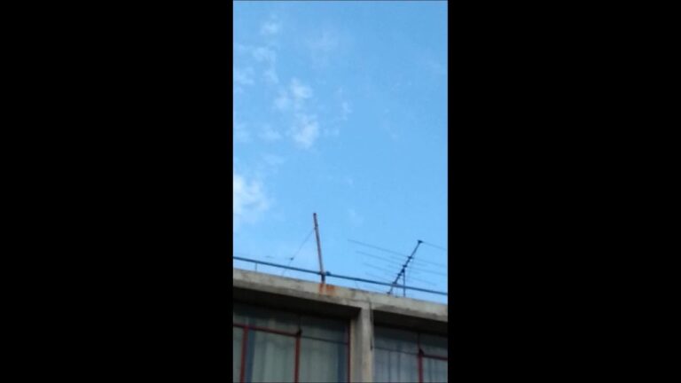 perro enseña a saltar a bebe en cargador elastico