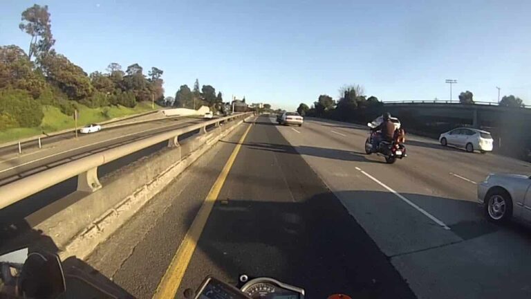 Intentan salvar perrito en medio de autopista