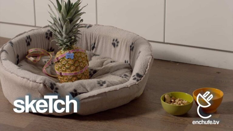 mundo al reves vegetales animales – enchufetv