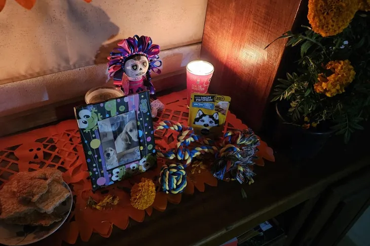 Altar de las mascotas dia de los muertos