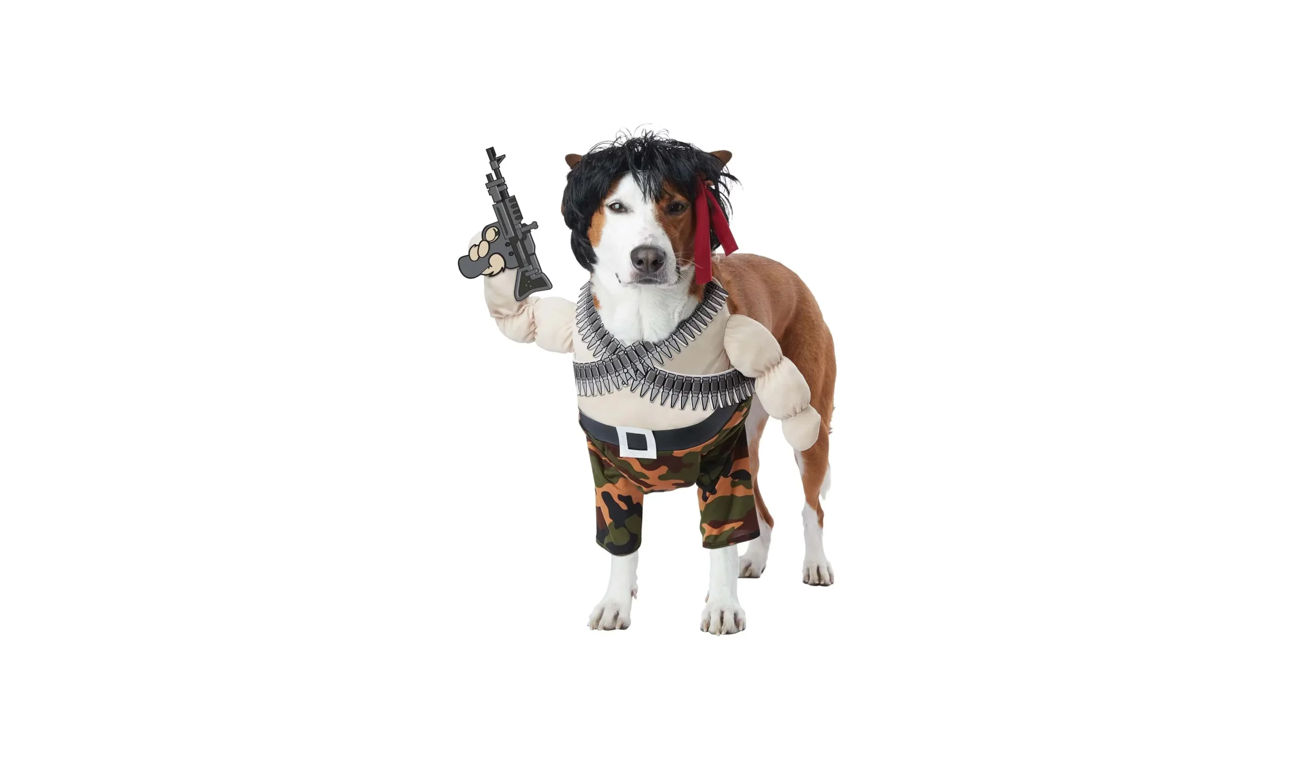 Los 6 Mejores Disfraces para Mascotas para un Halloween Inolvidable