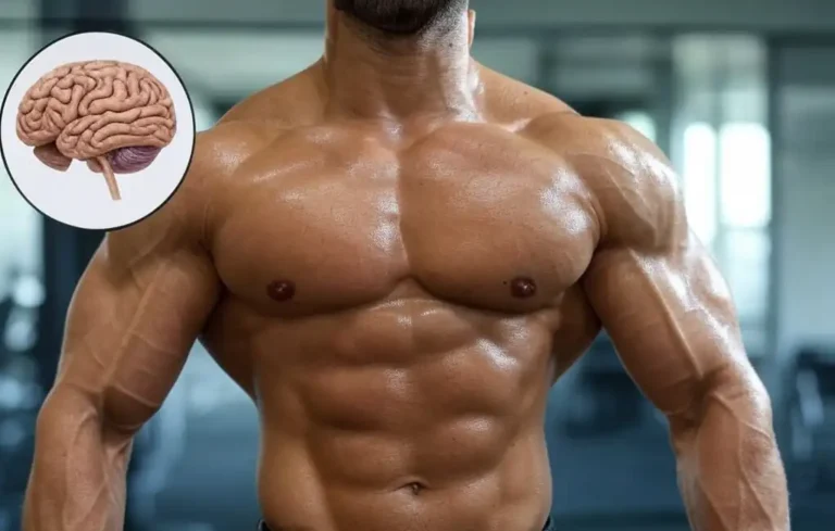 Creatina: Nuevos Beneficios y Riesgos que Debes Conocer