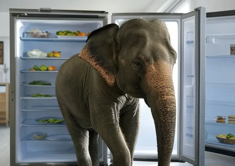 El Examen De Lógica