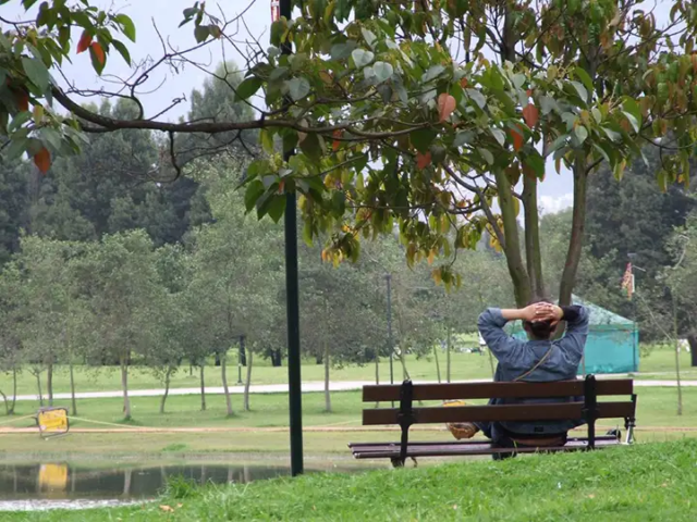 parque simon bolivar bogota 4