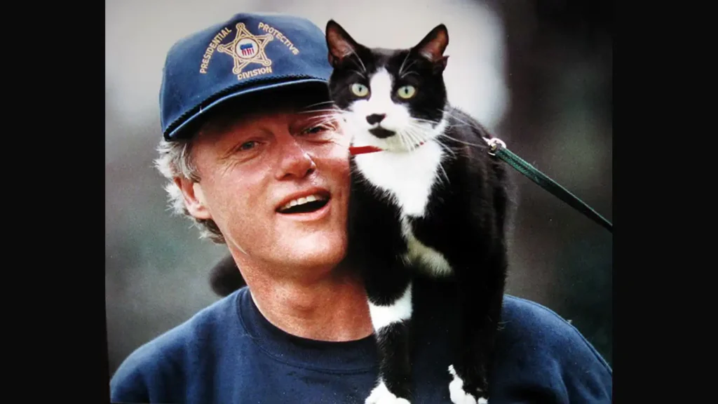 Socks gato de el expresidente Bill Clinton 